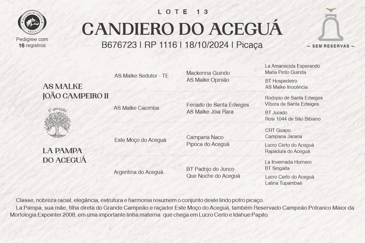 Geração CANDIERO DO ACEGUÁ