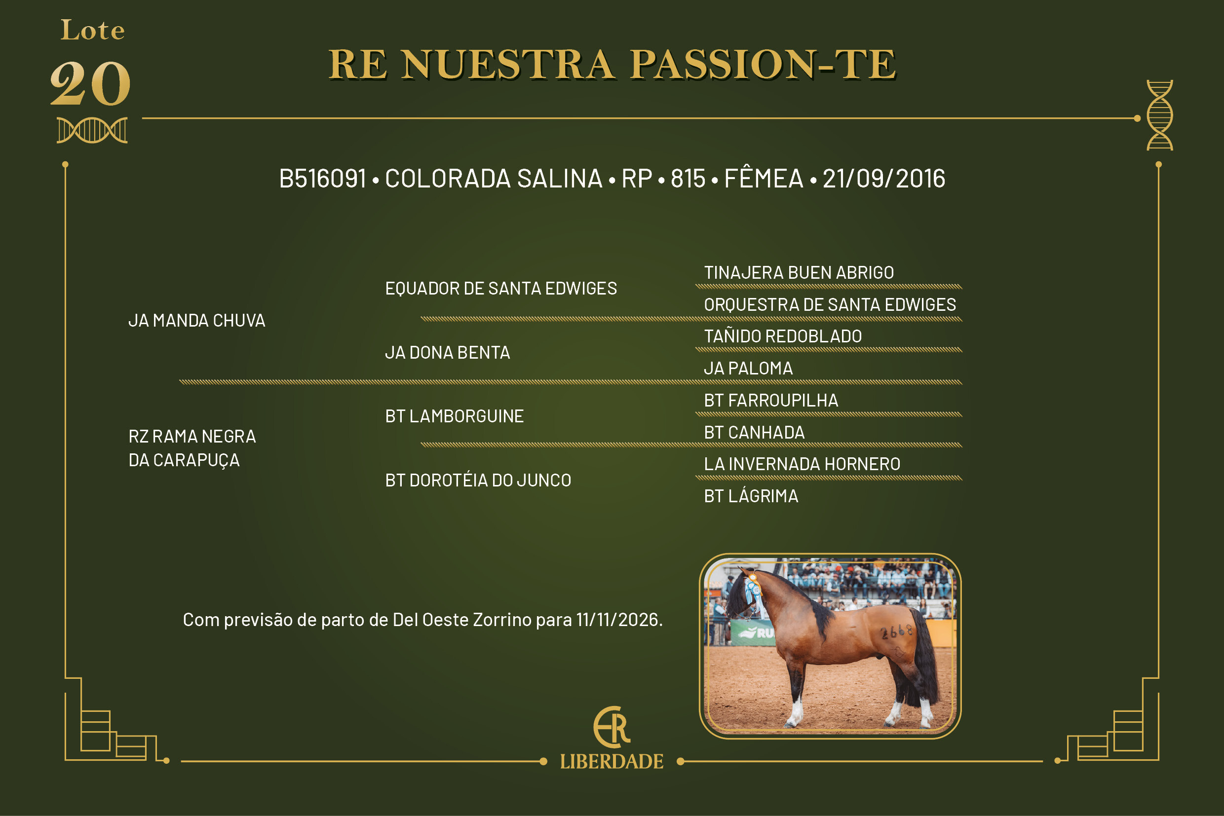 Geração RE NUESTRA PASSION - TE 