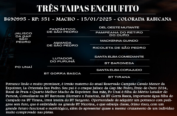 Geração TRES TAIPAS ENCHUFITO