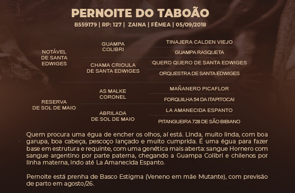 Geração PERNOITE DO TABOÃO 