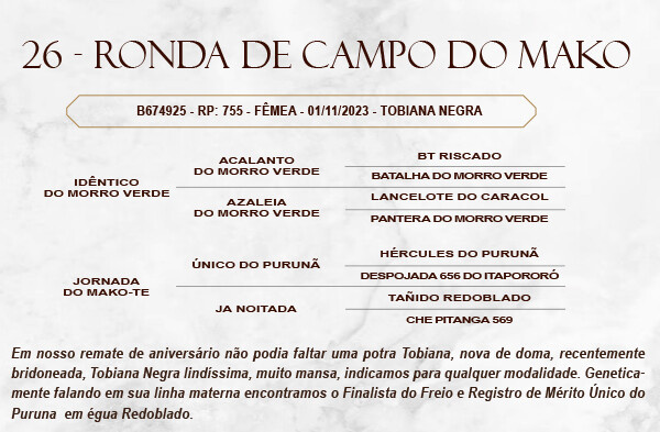 Geração RONDA DE CAMPO DO MAKO