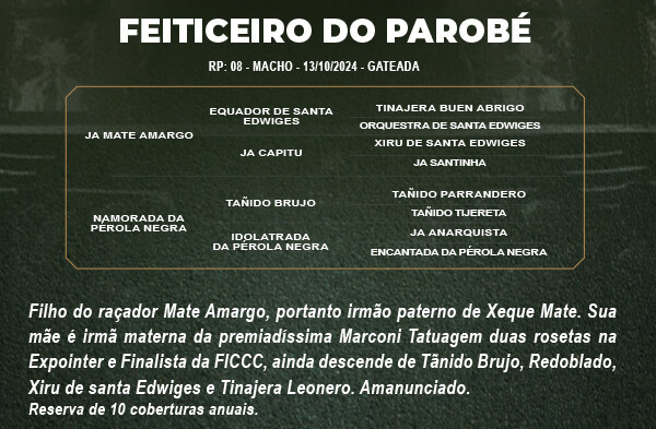 Geração FEITICEIRO DO PAROBÉ