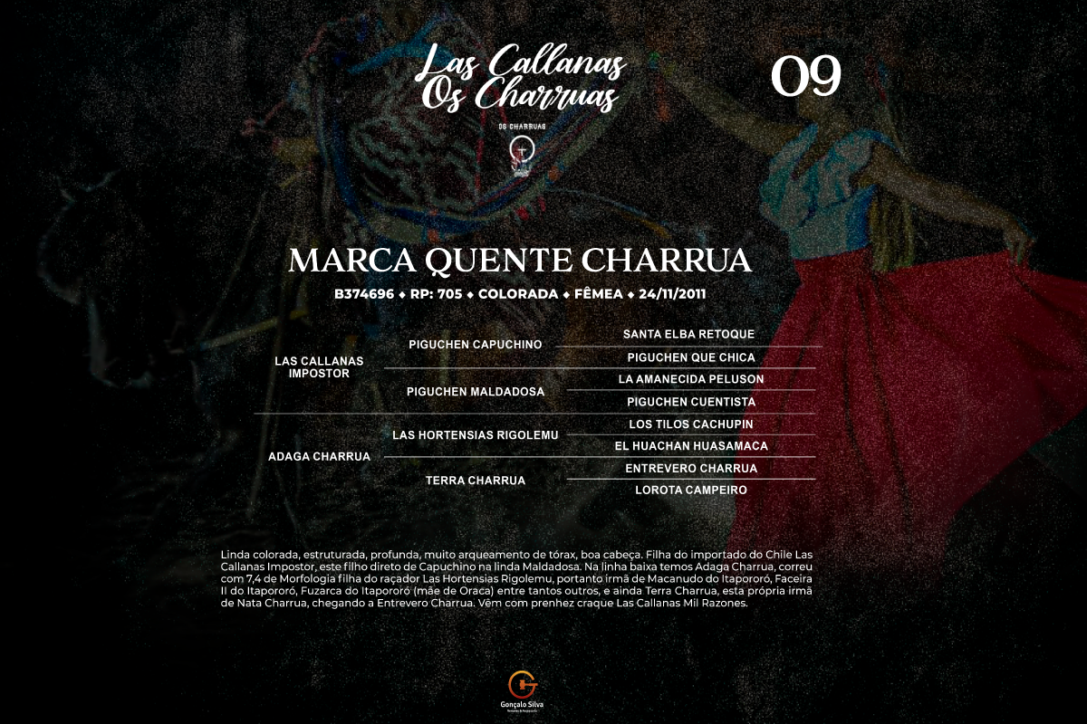 Geração MARCA QUENTE CHARRUA