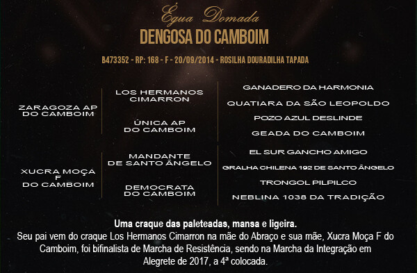 Geração DENGOSA DO CAMBUIM