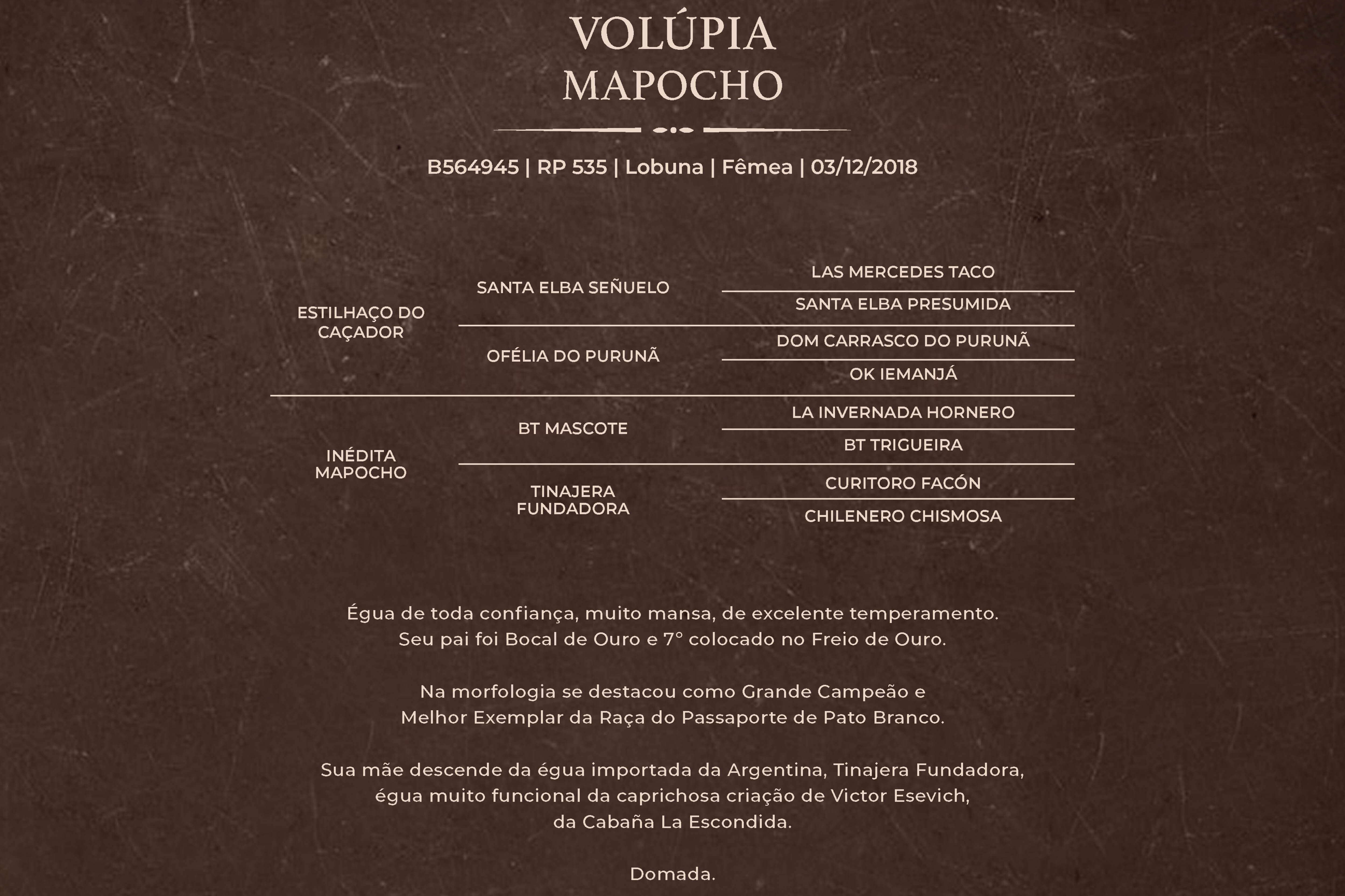 Geração VOLÚPIA MAPOCHO