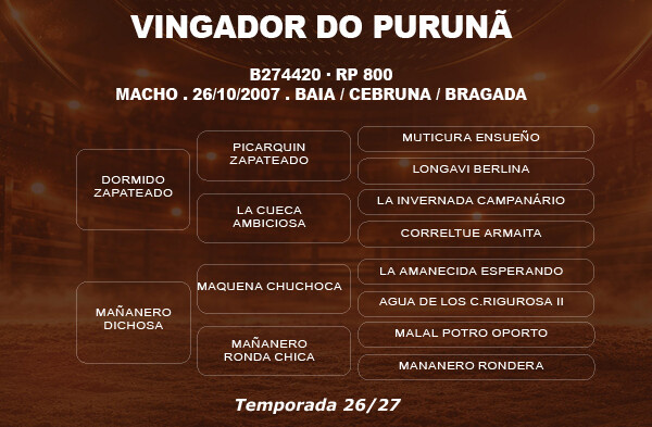Geração COBERTURA VINGADOR DO PURUNÃ