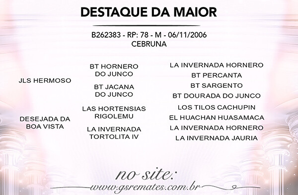 Geração DESTAQUE DA MAIOR
