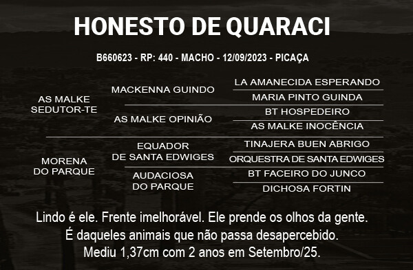 Geração HONESTO DE QUARACI