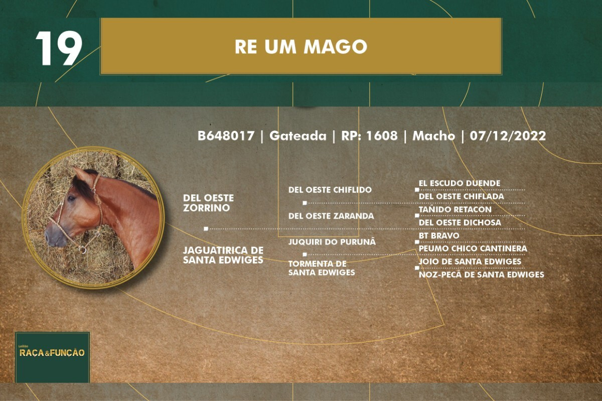 Geração RE UM MAGO