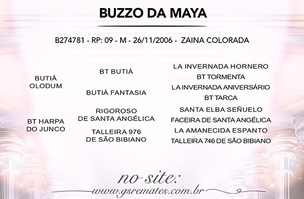 Geração BUZZO DA MAYA 