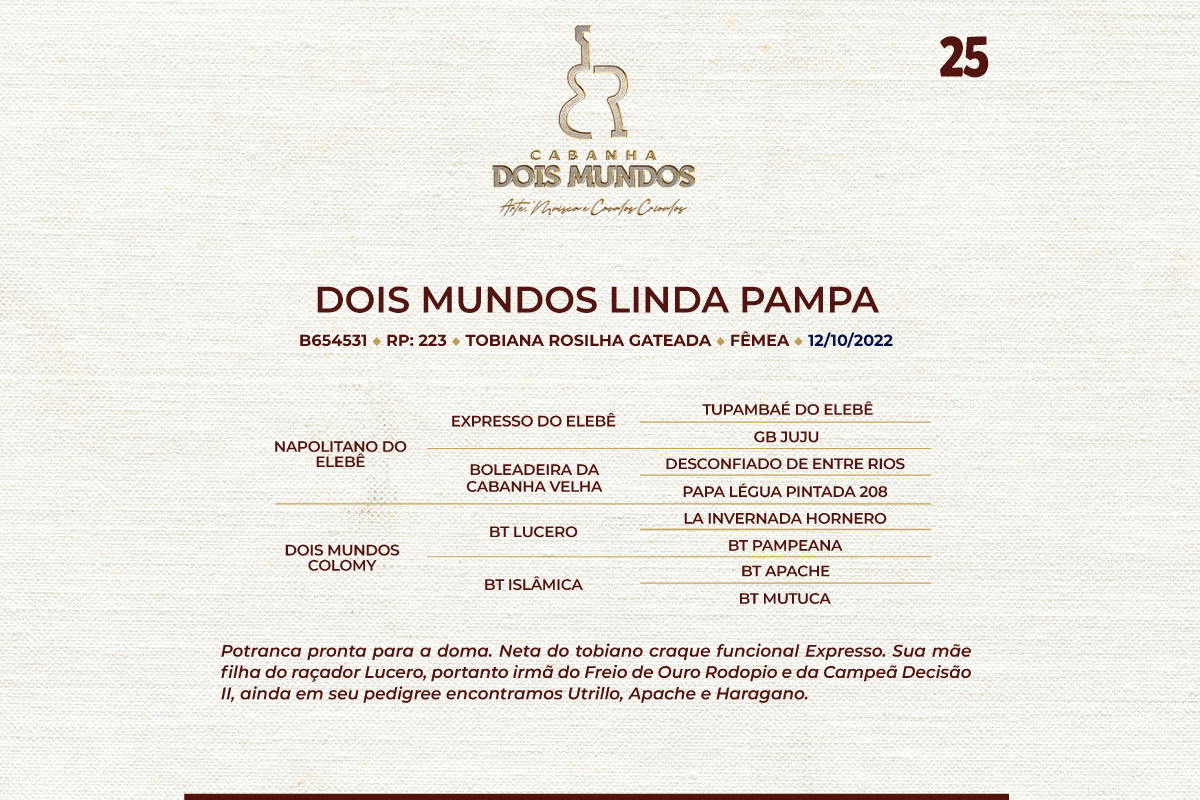 Geração DOIS MUNDOS LINDA PAMPA