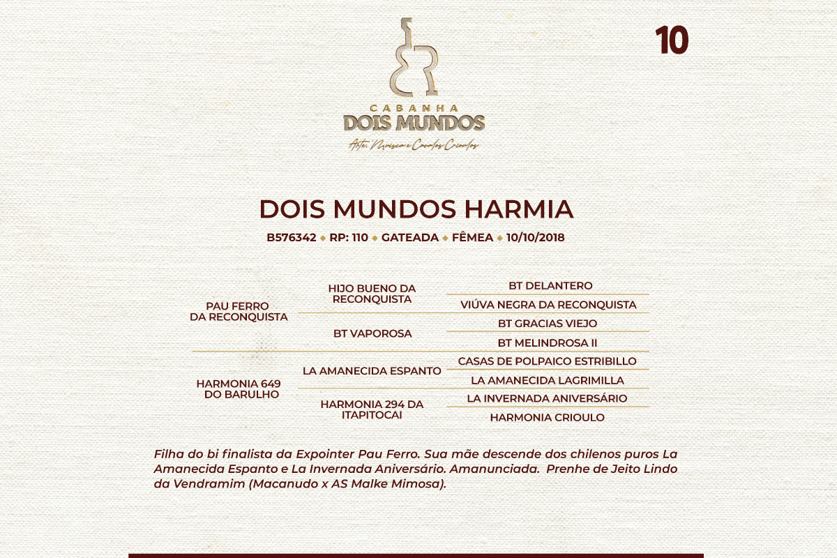 Geração DOIS MUNDOS HARMIA