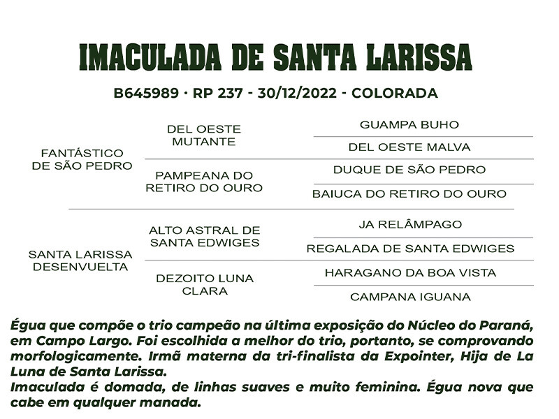 Geração IMACULADA DE SANTA LARISSA 