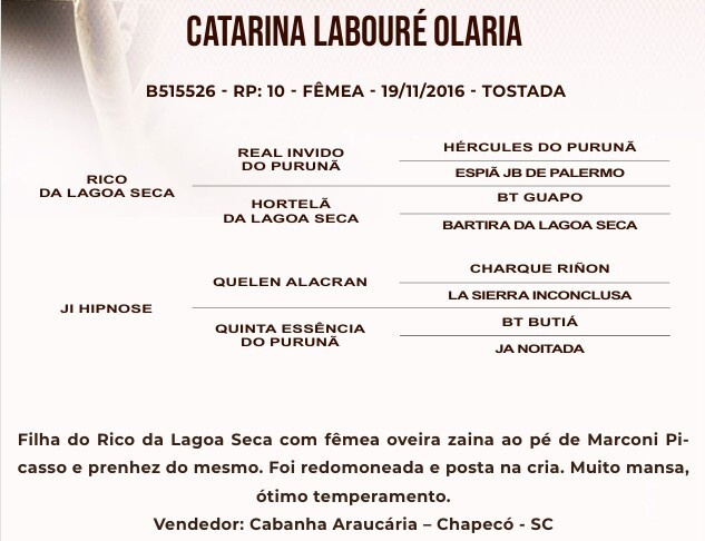Geração CATARINA LABOURÉ OLARIA