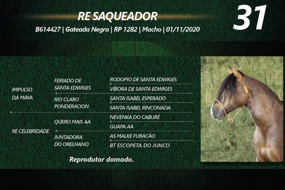 Geração RE SAQUEADOR