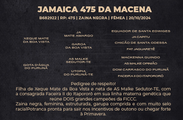 Geração JAMAICA 475 DA MACENA