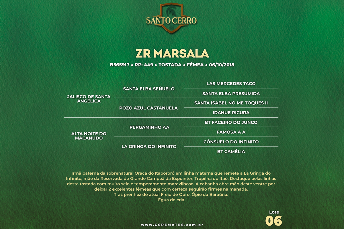 Geração ZR MARSALA