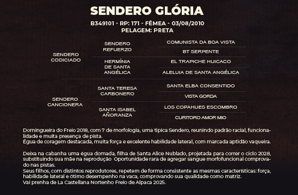 Geração SENDERO GLÓRIA