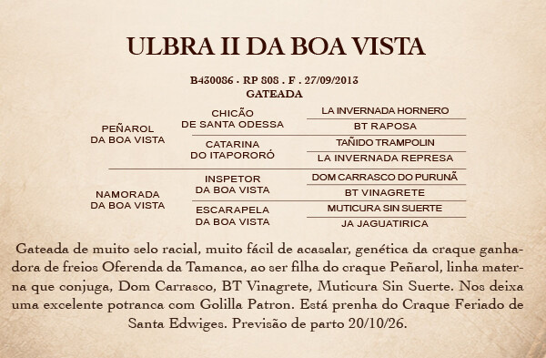 Geração ULBRA II DA BOA VISTA