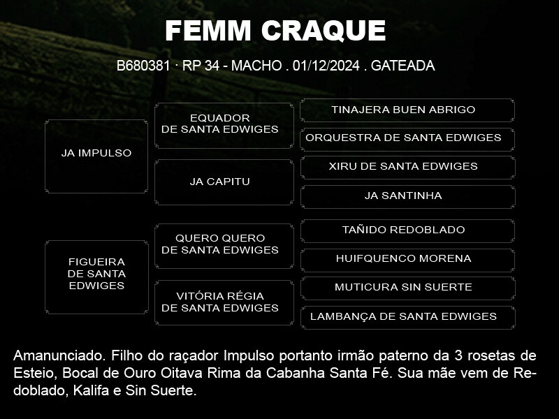 Geração FEMM CRAQUE 