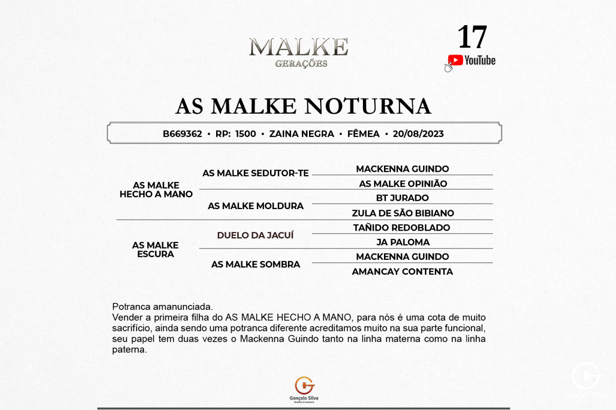 Geração AS MALKE NOTURNA