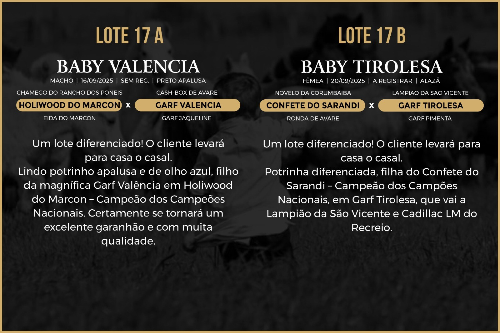 Geração BABY VALENCIA OU BABY TIROLESA