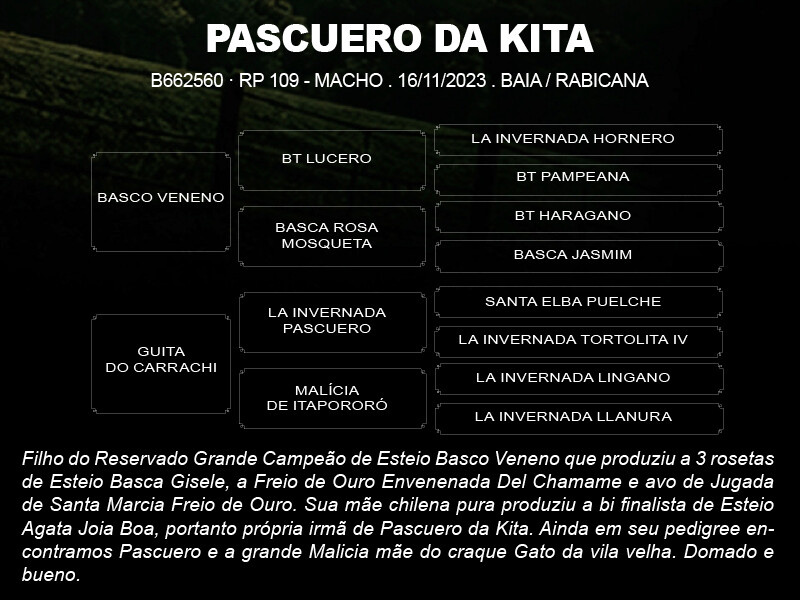 Geração PASCUERO DA KITA 