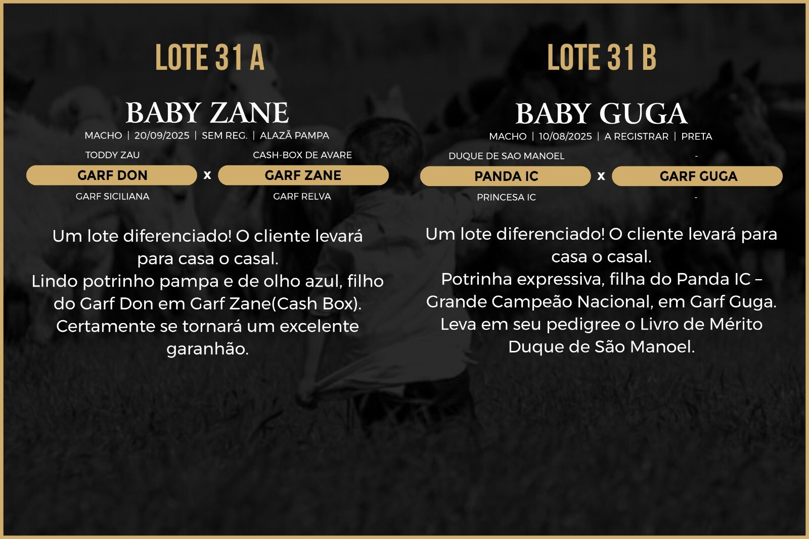 Geração BABY ZANE OU BABY GUGA