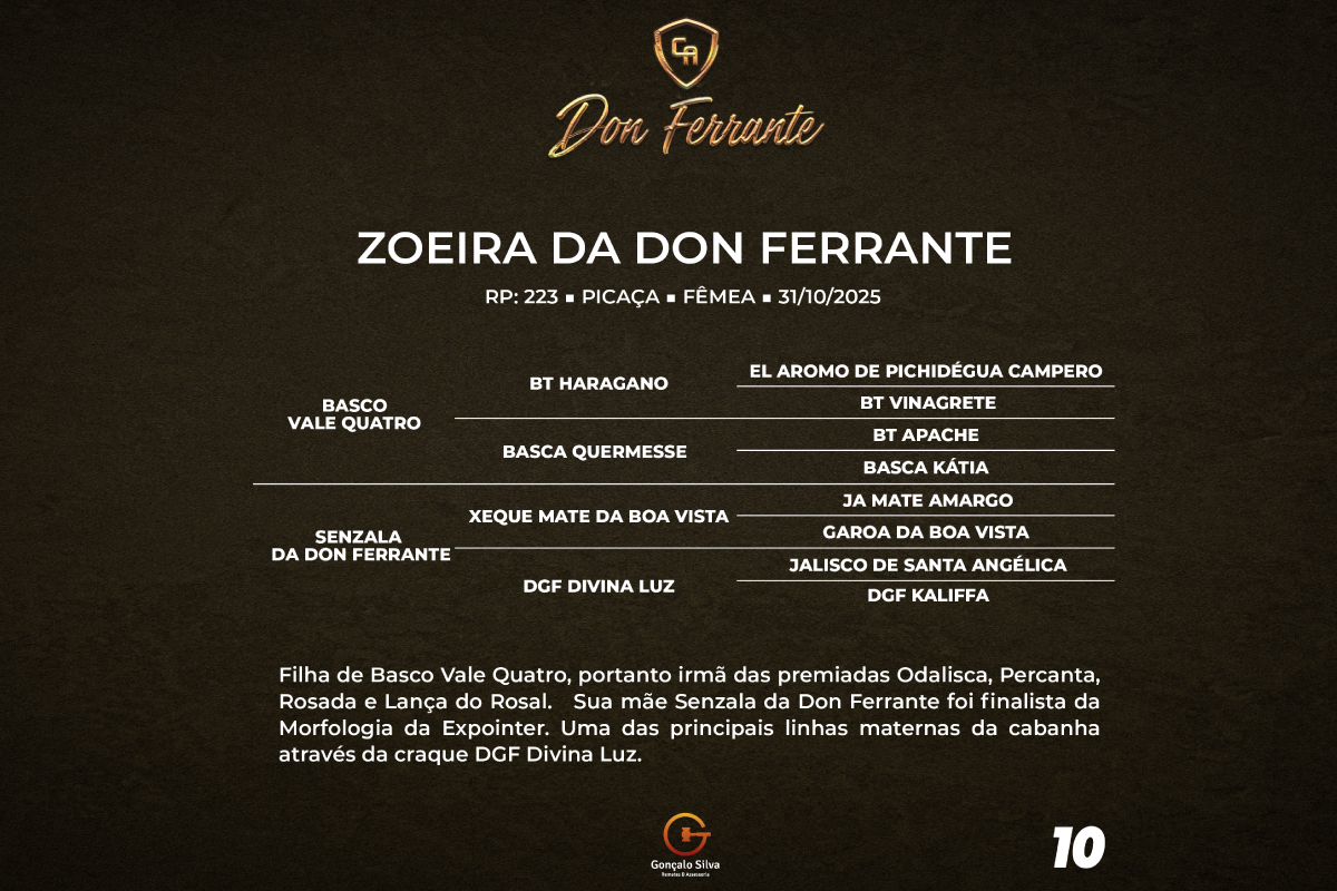 Geração ZOEIRA DA DON FERRANTE 