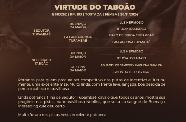 Geração VIRTUDE DO TABOÃO 