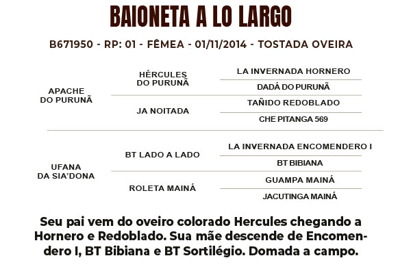 Geração BAIONETA A LO LARGO