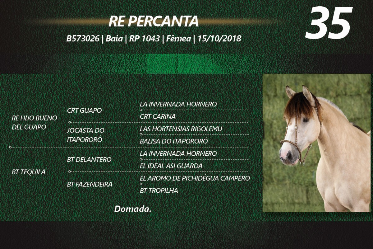 Geração RE PERCANTA