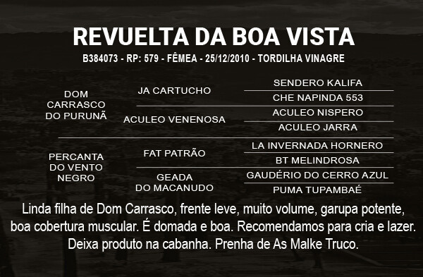 Geração REVUELTA DA BOA VISTA