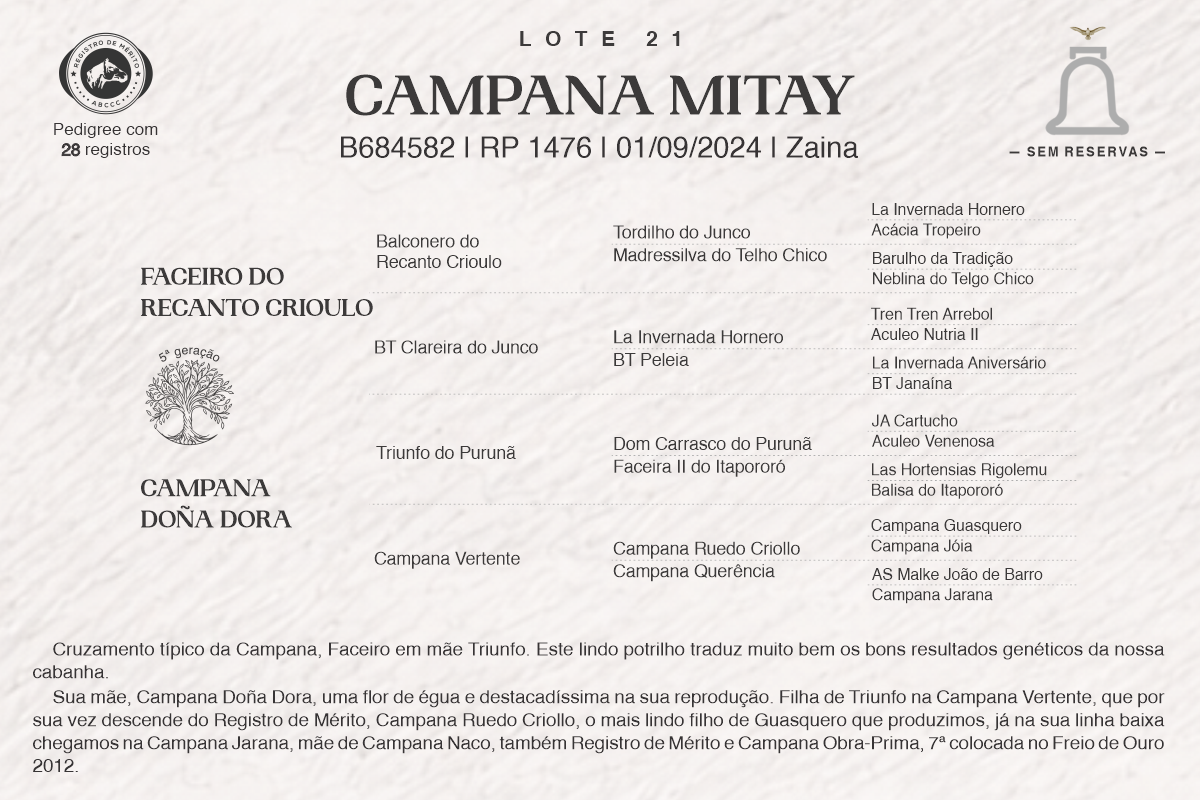 Geração CAMPANA MITAY