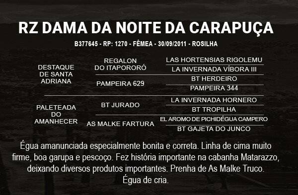 Geração RZ DAMA DA NOITE DA CARAPUÇA