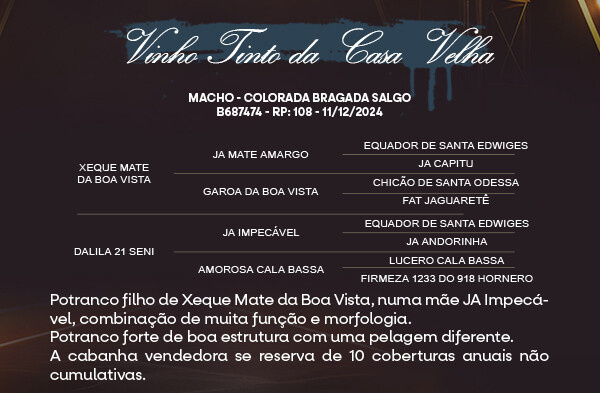 Geração VINHO TINTO DA CASA VELHA