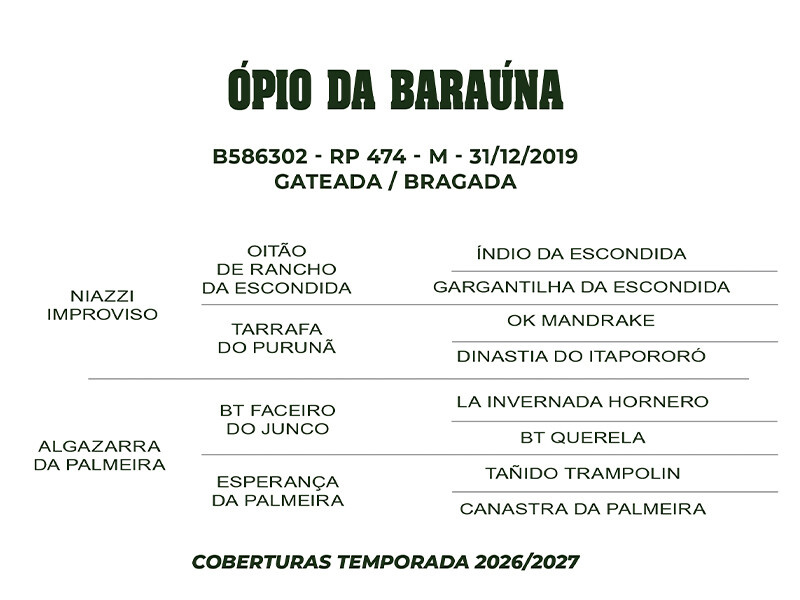 Geração COBERTURA ÓPIO DA BARAÚNA