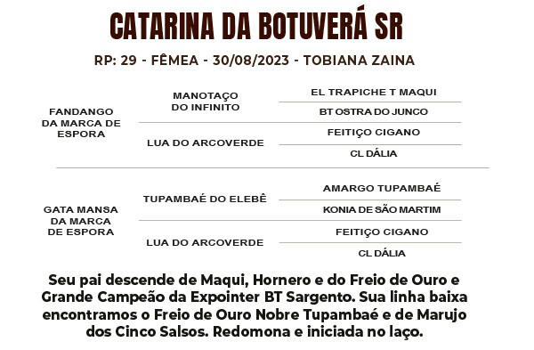 Geração CATARINA DA BOTUVERÁ SR