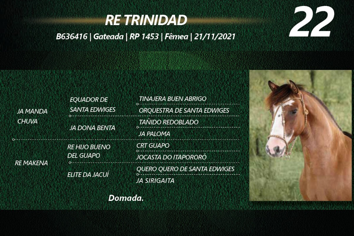 Geração RE TRINIDAD