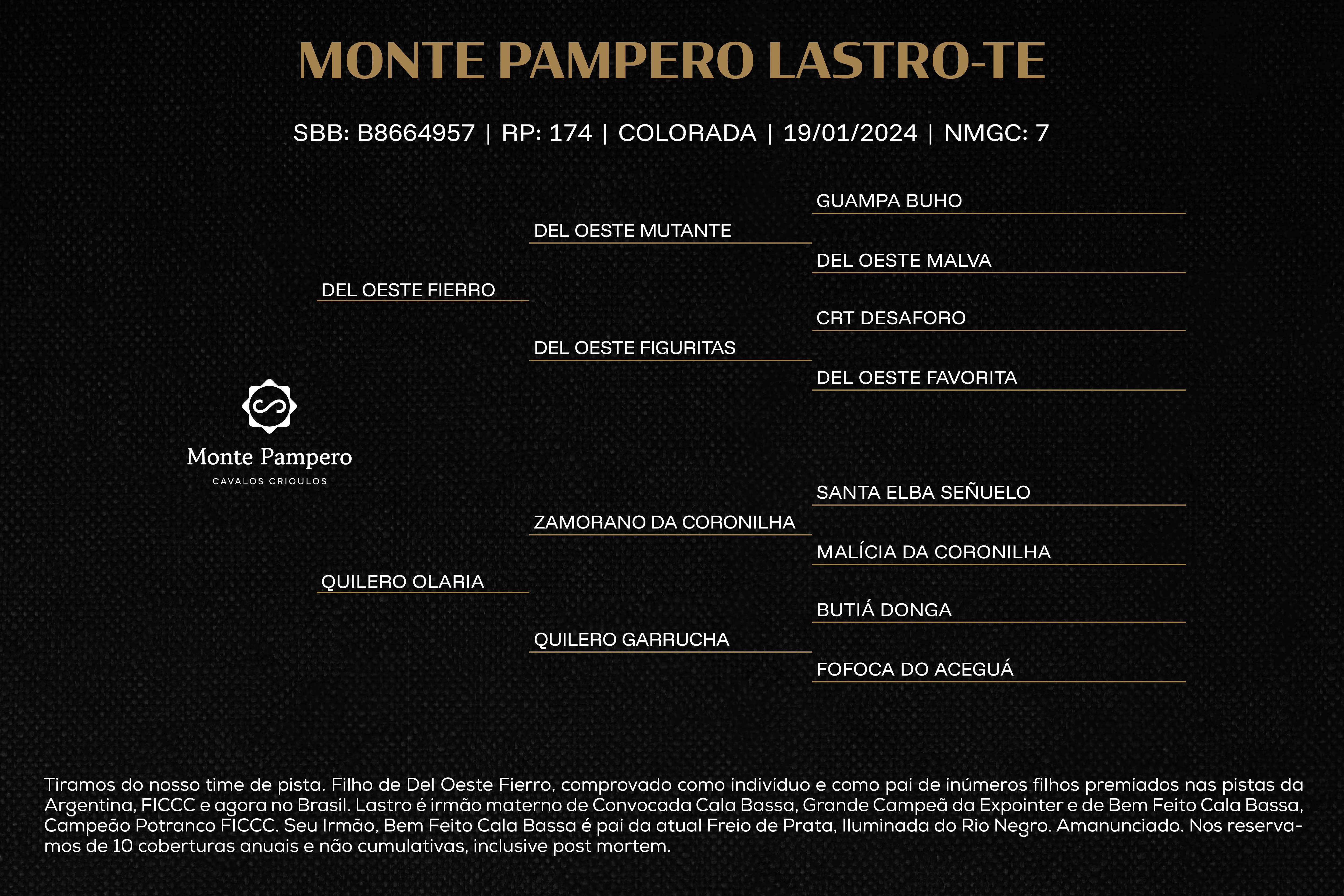 Geração MONTE PAMPERO LASTRO-TE