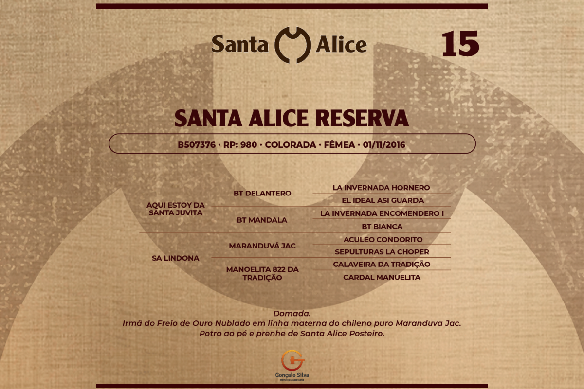 Geração SANTA ALICE RESERVA