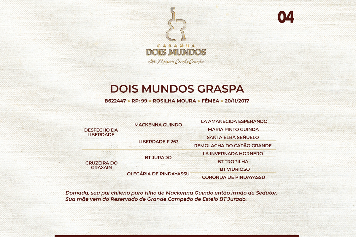 Geração DOIS MUNDOS GRASPA