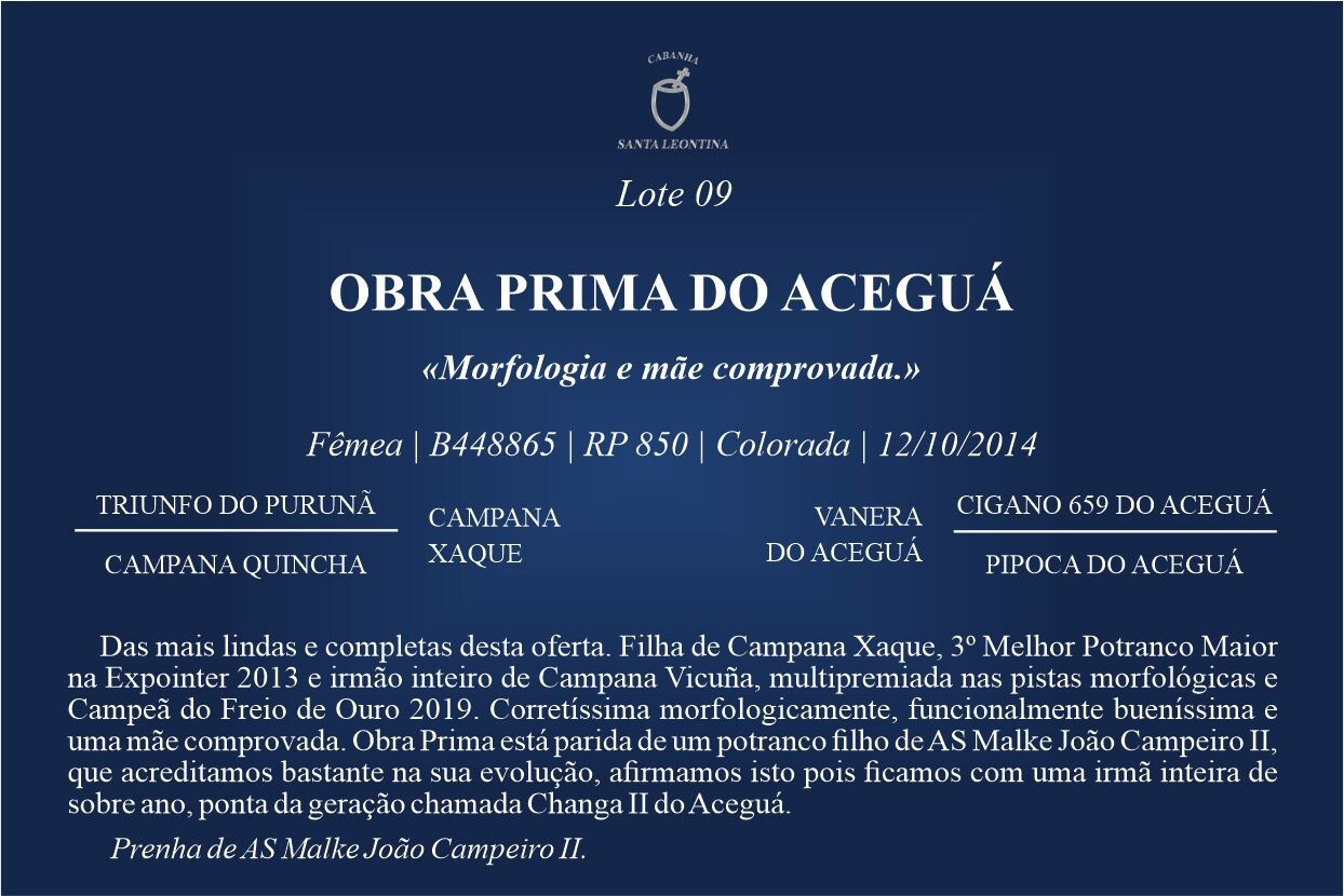 Geração OBRA PRIMA DO ACEGUÁ