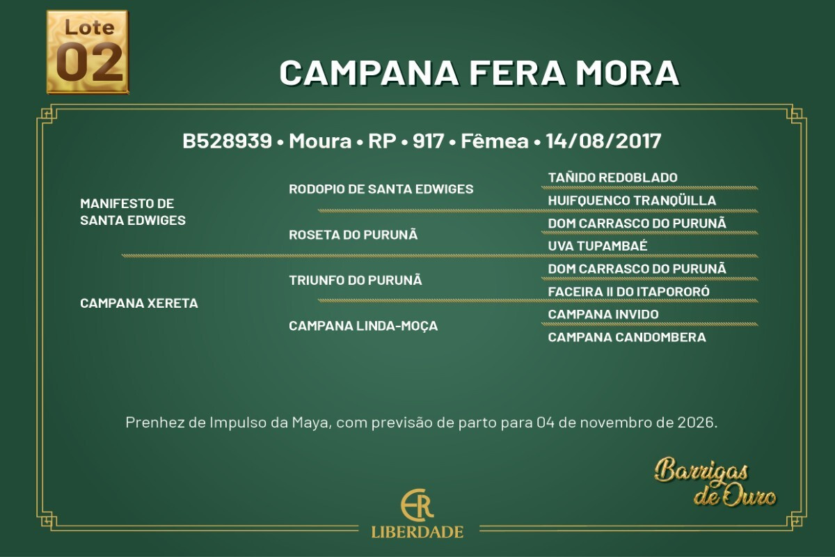 Geração CAMPANA FERA MORA