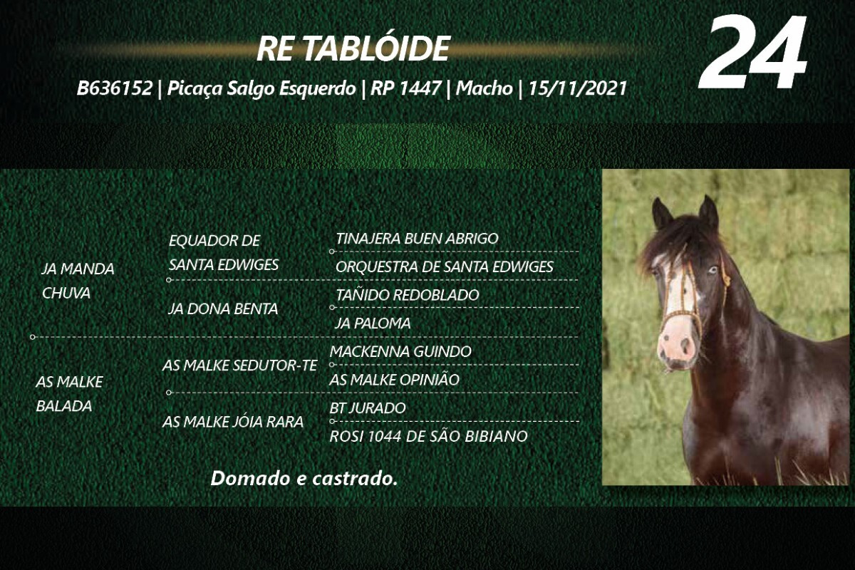 Geração RE TABLÓIDE