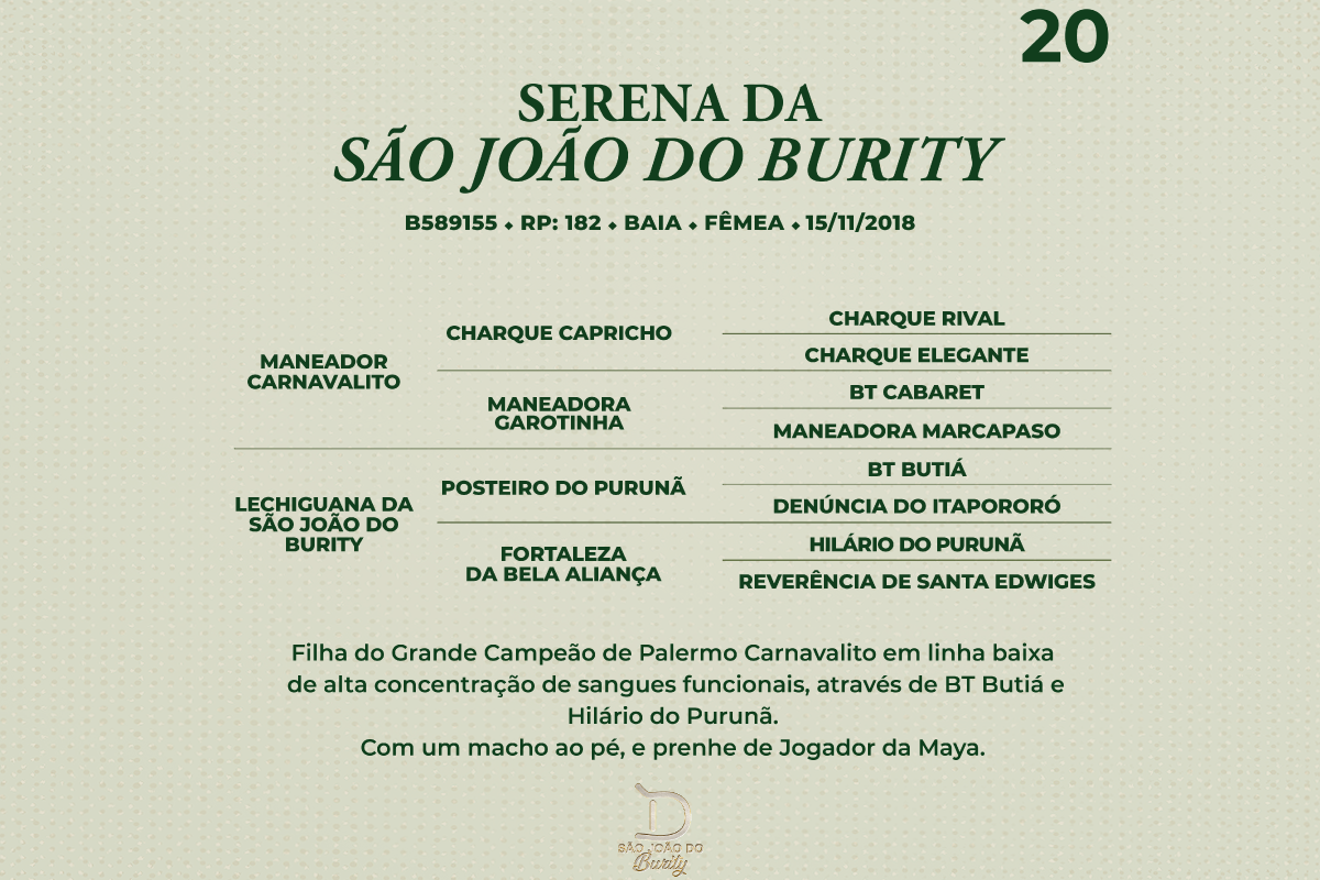 Geração SERENA DA SÃO JOÃO DO BURITY