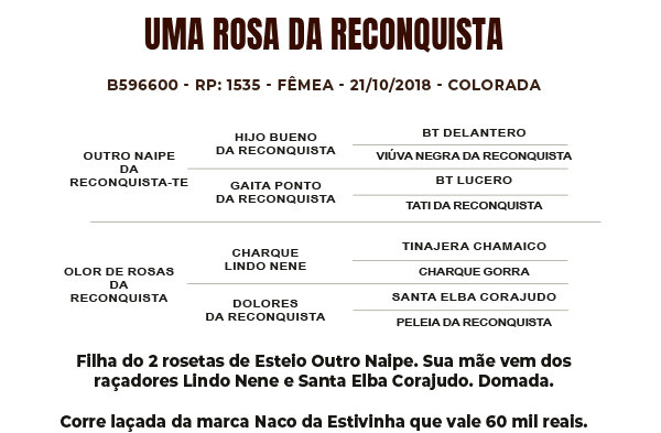 Geração UMA ROSA DA RECONQUISTA