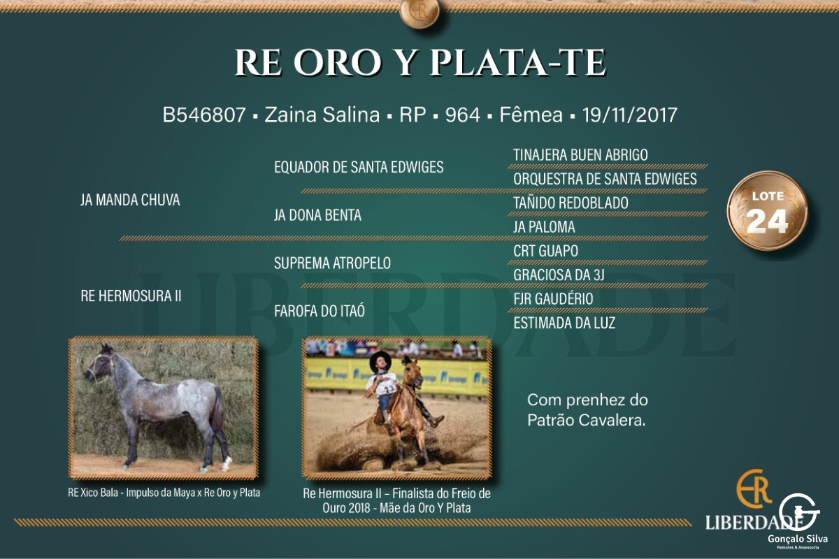 Geração  RE ORO Y PLATA-TE