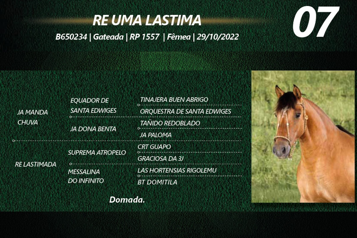 Geração RE UMA LASTIMA