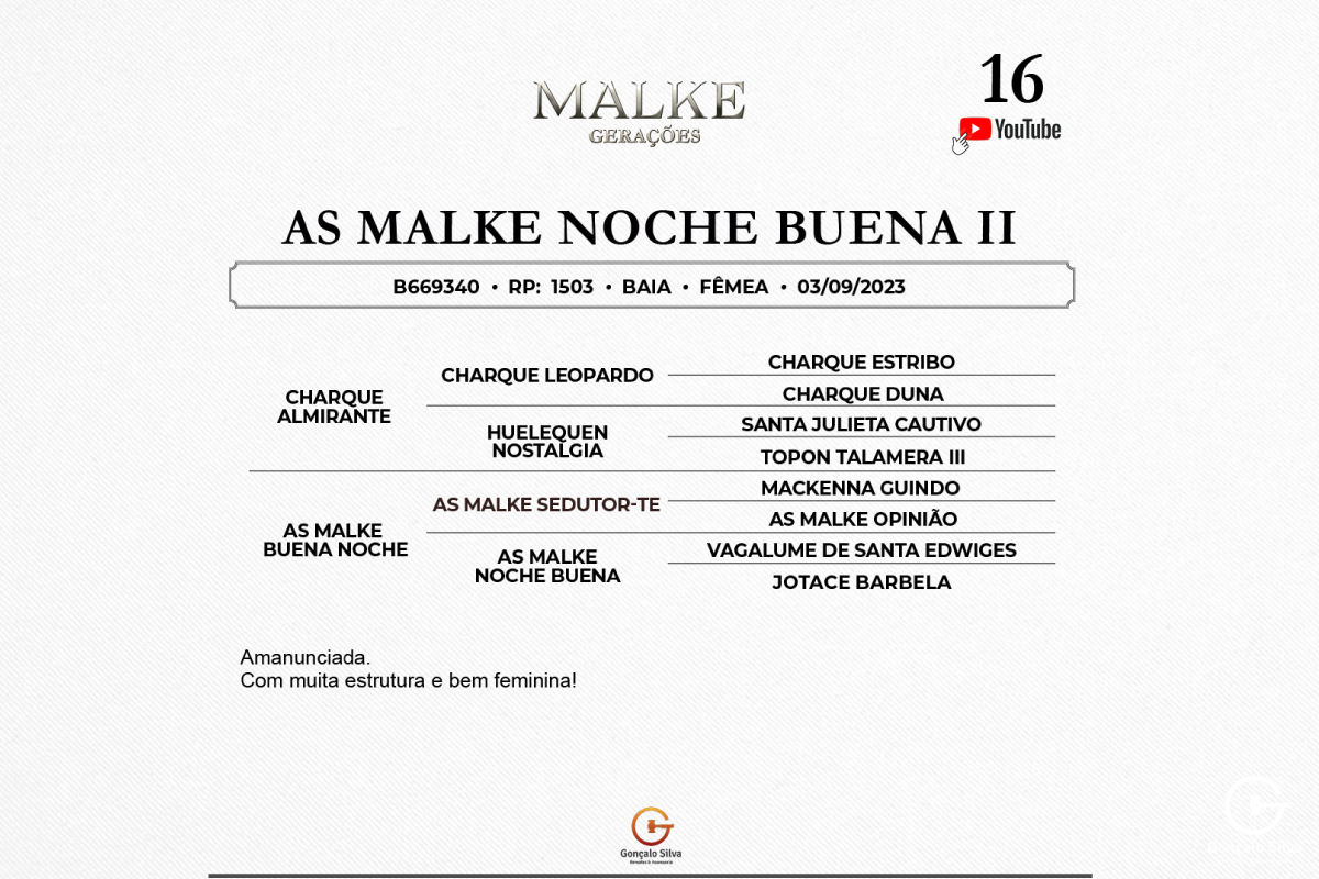 Geração AS MALKE NOCHE BUENA II